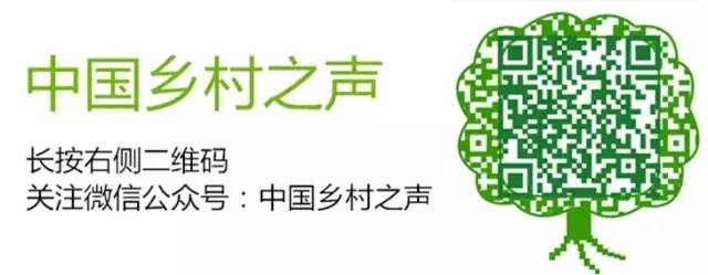 所谓赚钱项目是陷阱！J9数字平台当心这些(图1)